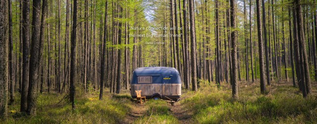 Bomen-quote_verder_caravan4kopie